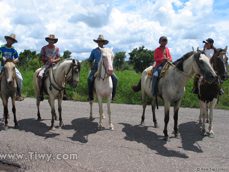 Llaneros  Venezuelan cowboys