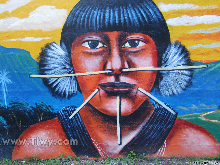 The state Amazonas depicted in artistic manner of local artists of naiffe school.